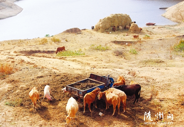 ���B(t��i)�B(y��ng)ֳǰ���V