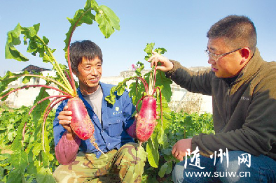 �S�����Ƽ��@���_�l(f��)���{��̼��������Ϲ��ձ�������a(ch��n)50%����