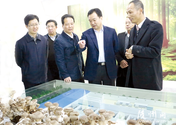 ������h������F(tu��n)���S�ݿ���