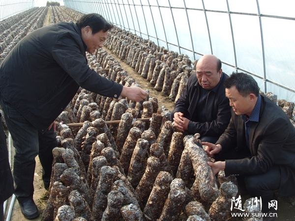 �����N��ģʽ��