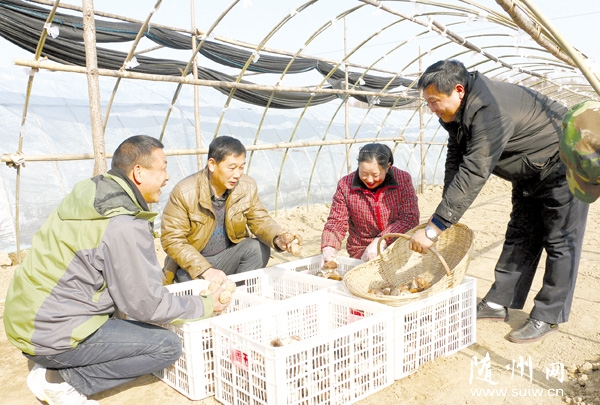 ��ɽ�r���N�ķ�