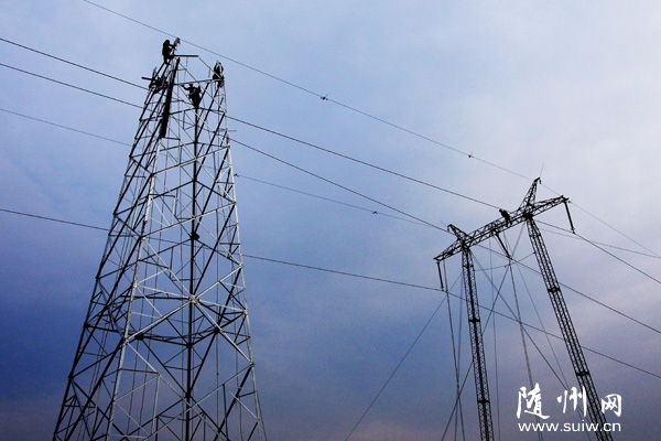 �n�S��������n�����S�ݣ�늾W(w��ng)���O(sh��)�Ӿo