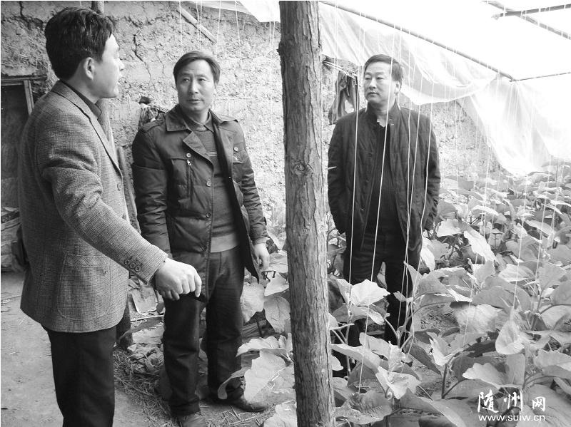 �S���о͘I(y��)�ֺ���ؔ(c��i)����(li��n)���_(k��i)չС�~��(d��n)���J���{(di��o)��