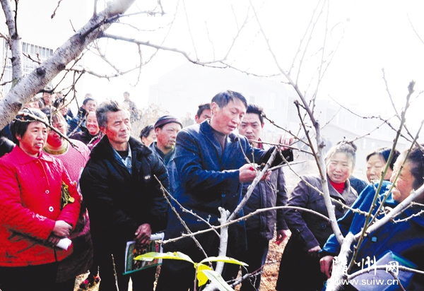 �r(n��ng)���v���M�҈@