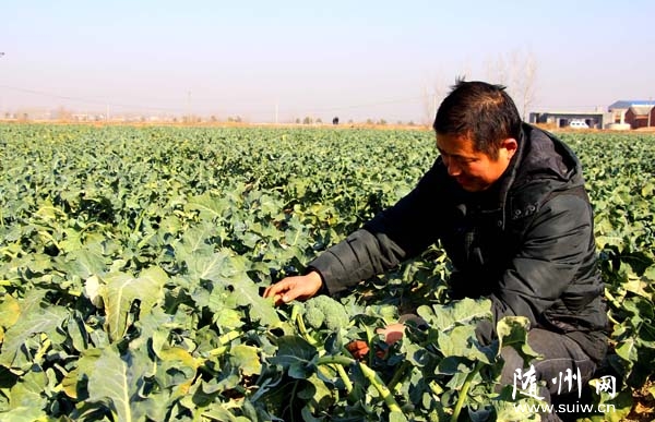 �S�h���m�����N��߅����