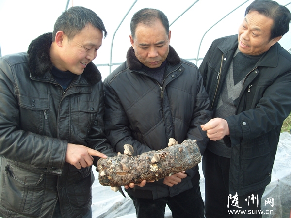 ���ϴٕ����^(q��)�ƅf(xi��)������(zh��n)ָ���υ^(q��)�����rĤ�״����g