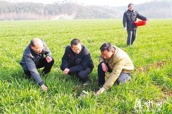 �����^(q��)�r(n��ng)�I(y��)��ָ���r(n��ng)��ץ��������С�����