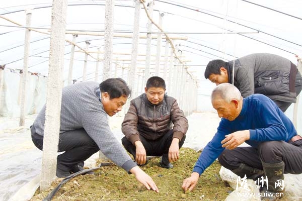 �����ƅf(xi��)���P(gu��n)�I(l��ng)��(d��o)�ͼ��g(sh��)�ˆT���߲˺�����ָ��(d��o)�߲�����