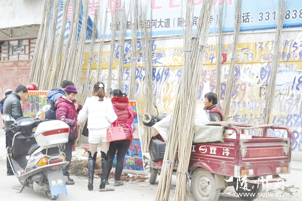 ֲ��(sh��)��(ji��)���� �S�h�����(zh��n)���ܘ�(sh��)�����N(xi��o)