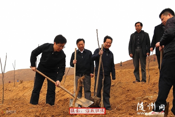 ���I(l��ng)��(d��o)�͙C(j��)�P(gu��n)�ɲ������x��(w��)ֲ��(sh��)