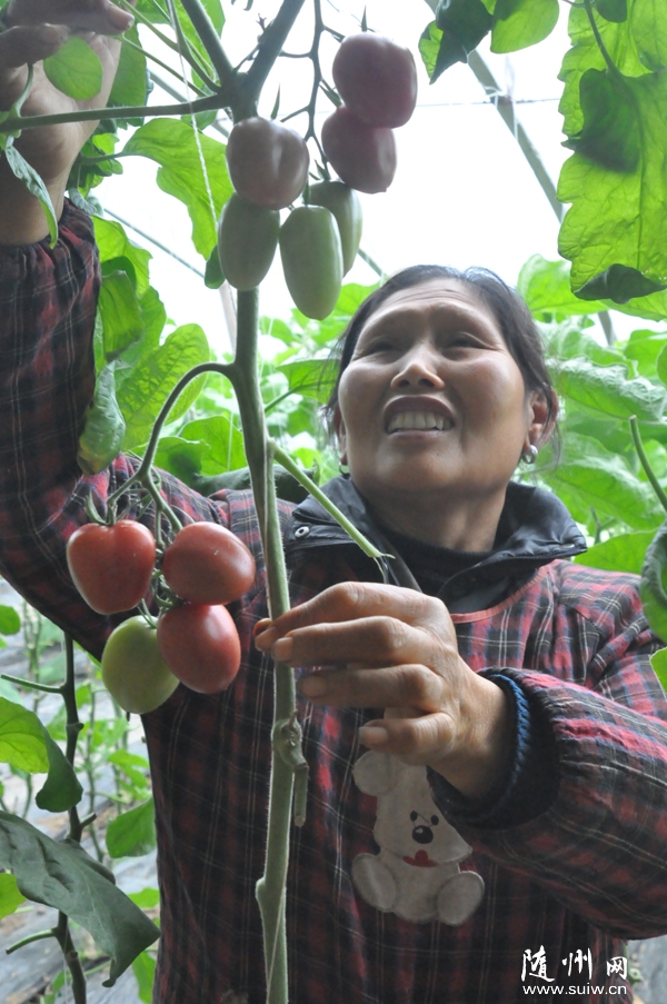 �S�h�����(zh��n)�w�l(f��)���ԌW(xu��)�ԷN������(ji��)�߲�