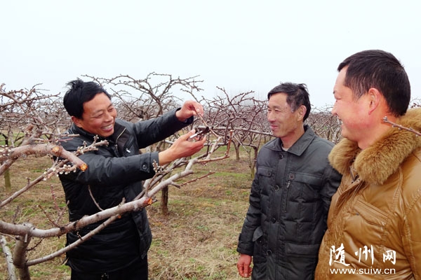 ���I(y��)�����玧��(d��ng)�r(n��ng)��Nֲˮ���¸�