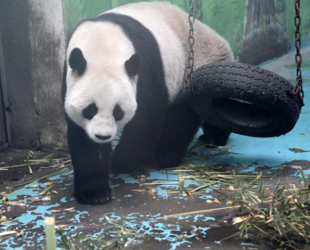 ���݄�(d��ng)��@������B(y��ng)�l�� ��؈�����N�������ջ�