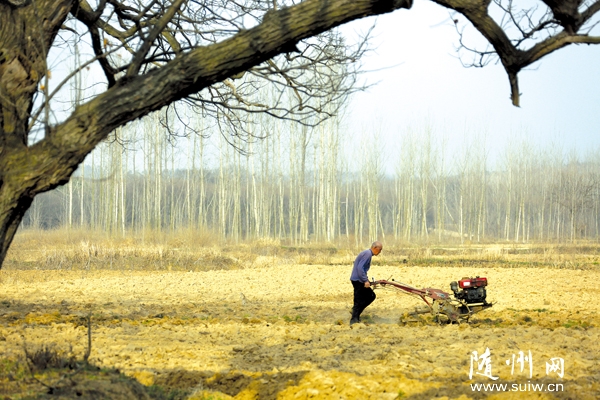 �S�h�����(zh��n)�r(n��ng)���_չ�������a(ch��n)