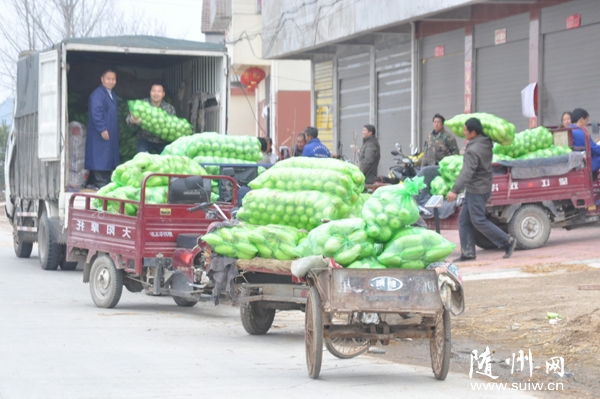 �S�h�����(zh��n)ɳ��������߲˴�����������