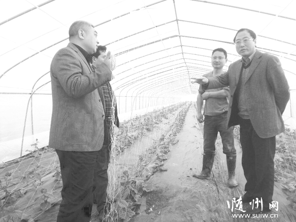 ��������_չ�������`��ӡ����M���L��