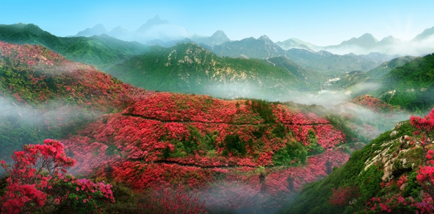 �����˳����Fɽ �S����ͩ�p���N