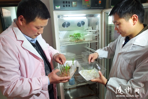 �����^(q��)�N�ܾև�(y��n)�Ѵ����N���|(zh��)���P(gu��n)