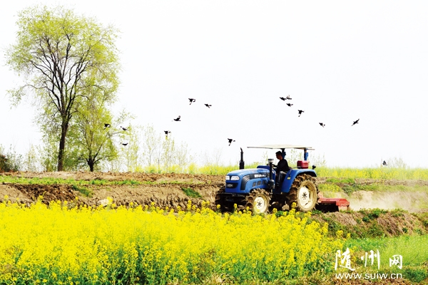 �f���(zh��n)����(d��o)�r(n��ng)���{(di��o)�N�������3�f�஀