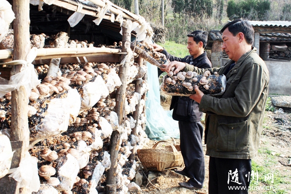 �����^(q��)����(zh��n)�㹽�Ј�(ch��ng)��(w��n)��Ч���