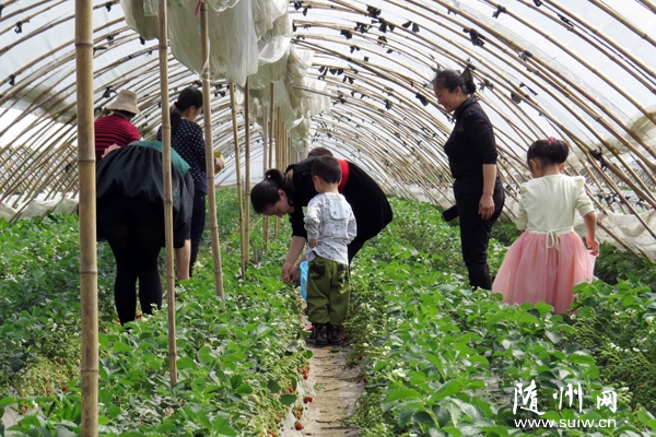 ��ݮ�@�H�Ӳ�ժ���(d��ng)�ܚgӭ