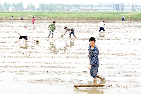 �������æ