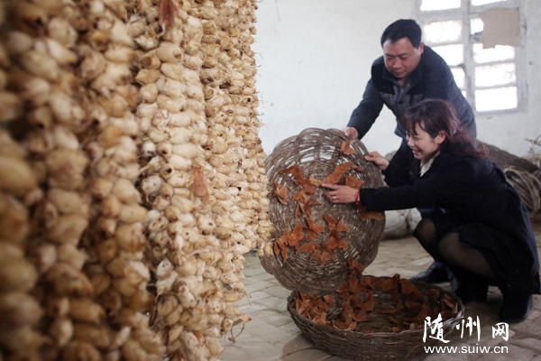 �����O������