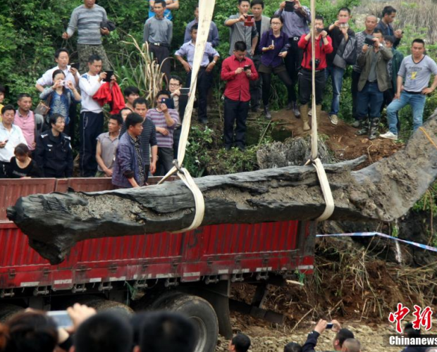 ����ǧ���ľ��Ҋ���� ���g��4000������