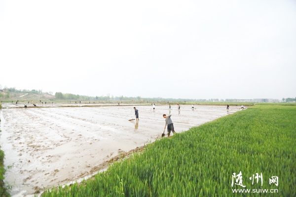 �S�h�ƿh�(zh��n)Ф��h֧������ί��(hu��)�M������(sh��)�д��Ｏ������