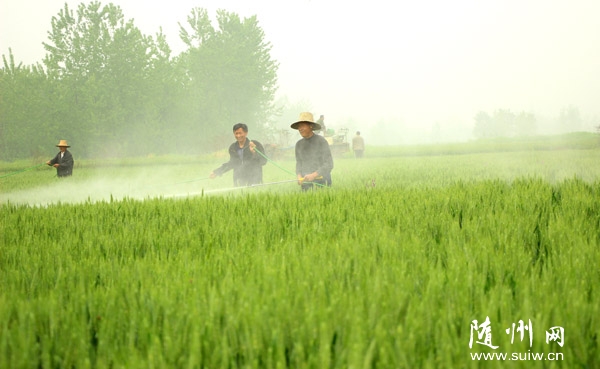 �B�d����װl(f��)С����ù�� �S�h�����(zh��n)�r(n��ng)�񇊞��r(n��ng)ˎ��ǰ�A(y��)��