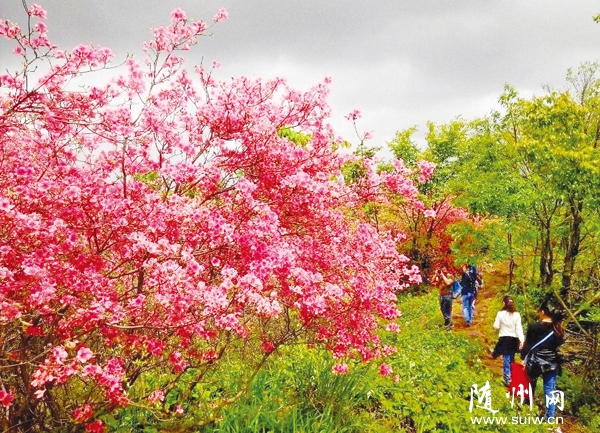 ���g������ ����p���N