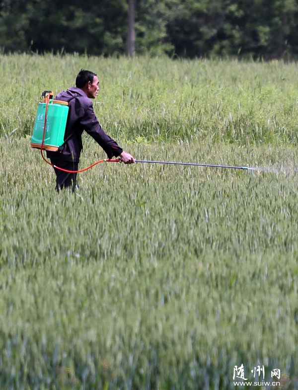 �����^(q��)�ε��(zh��n)�r(n��ng)��ӏ�(qi��ng)С���������g����