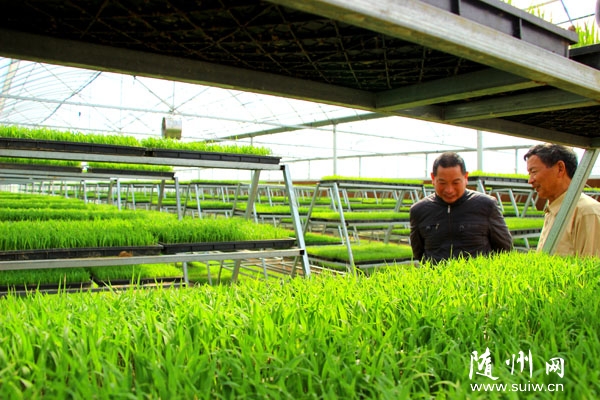 �����(zh��n)�������S���������L������