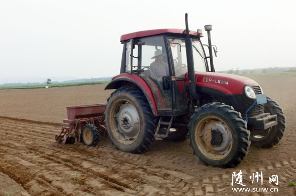 �����(zh��n)�M���Cе���r���N��ɳ��