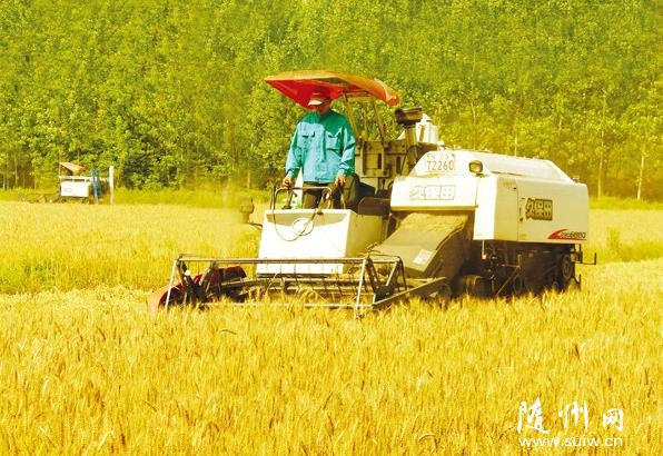 ����(zh��n)�r(n��ng)����ǰ�����������ո����С��