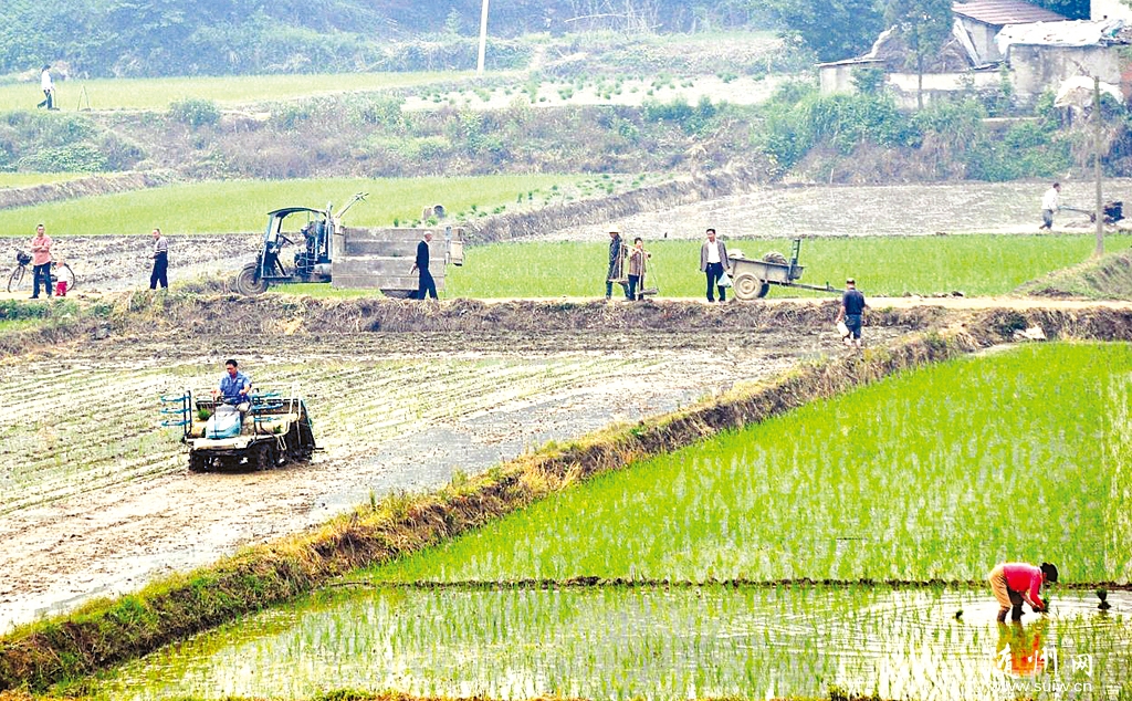 �����^(q��)����(zh��n)�ɲ����_չ֧�r(n��ng)���