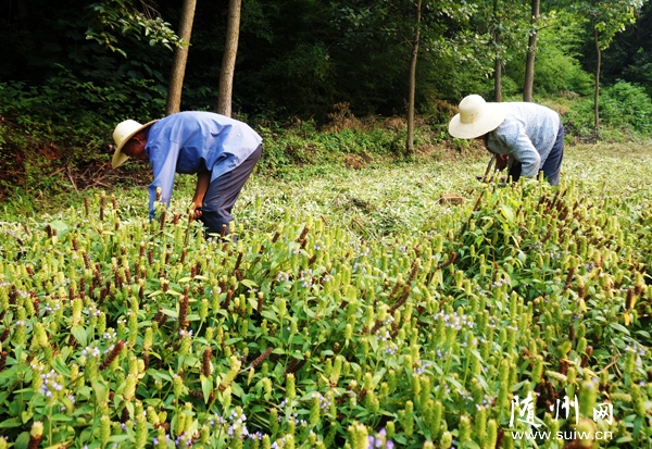 �����(zh��n)�p�ߴ��r(n��ng)�����ո��Ŀ���