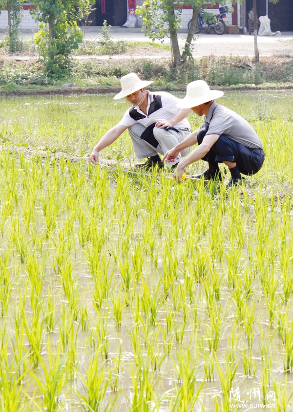 �����^(q��)����(zh��n)�r(n��ng)���ˆT�����r(n��ng)�����a(ch��n)����