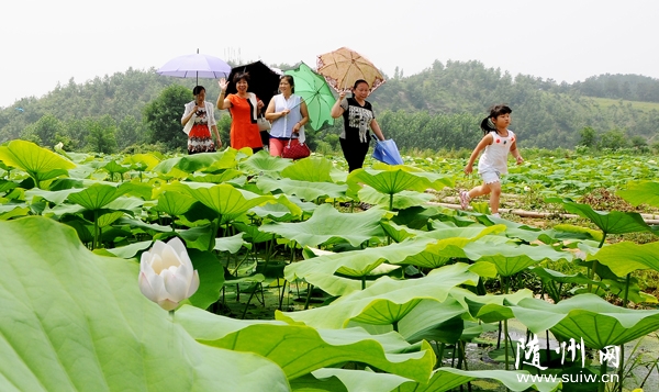 ���ڃ�(y��u)1̖(h��o)����(y��u)�|(zh��)ɏź�ڏVˮ�״Μ\ˮ�Nֲϲ�@�ɹ�