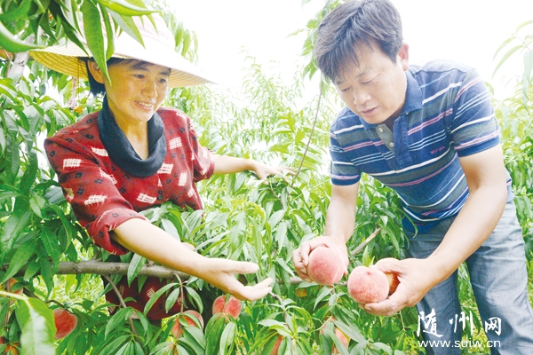�d����������M��(y��u)�|(zh��)����Ʒ�Nԇ�N��(y��u)�l(f��)չ