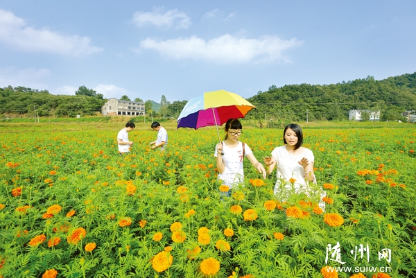 �����^(q��)����(zh��n)�y�ӹȳ��˻��ĺ���