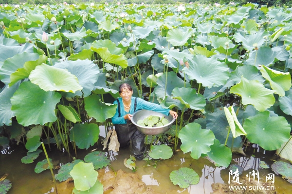 �S�h�����(zh��n)�r(n��ng)��ͨ�^�N�ɡ��B(y��ng)�~ѭ�h(hu��n)���w�B(y��ng)ֳ�������