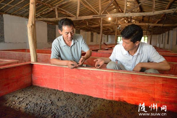 �����(zh��n)һ�B(y��ng)ֳ���I(y��)��(chu��ng)�k��ɫ�B(y��ng)ֳ����