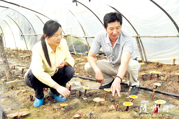 �S�hʳ�þ��f(xi��)��(hu��)�����I(y��)���g(sh��)�ˆTָ��(d��o)�`֥�ƌW(xu��)���