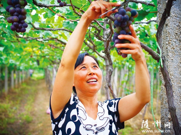 �S�h�����(zh��n)�޷�������ǰ��Ҏ(gu��)ģ��������