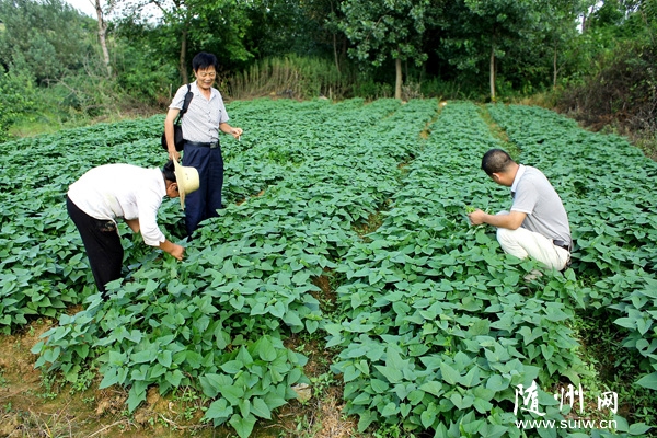 ���ø������N�ɹ�