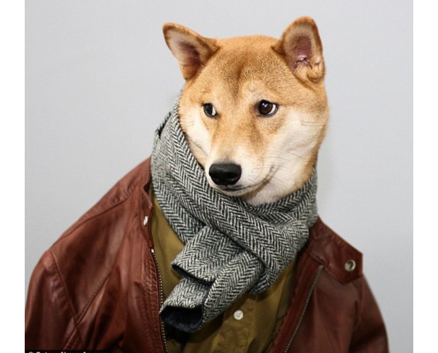 4�q��Ȯ�����ᡱ�����r�ֳɴ��ƺ��sģ��