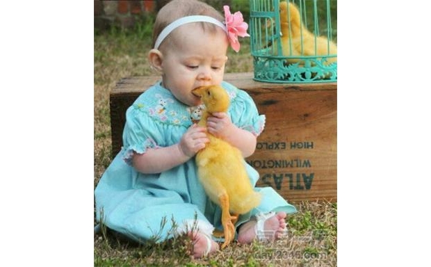 С�����I�˾����@�ӵ�