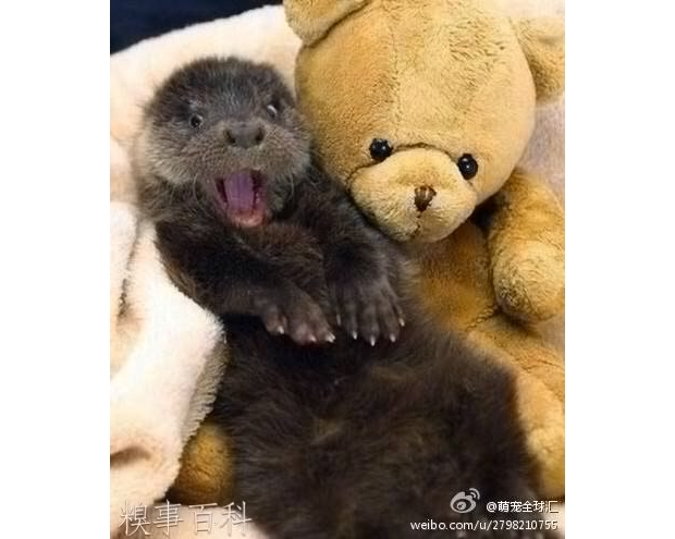 �@����������Ҫ�ȷ�ȫ��