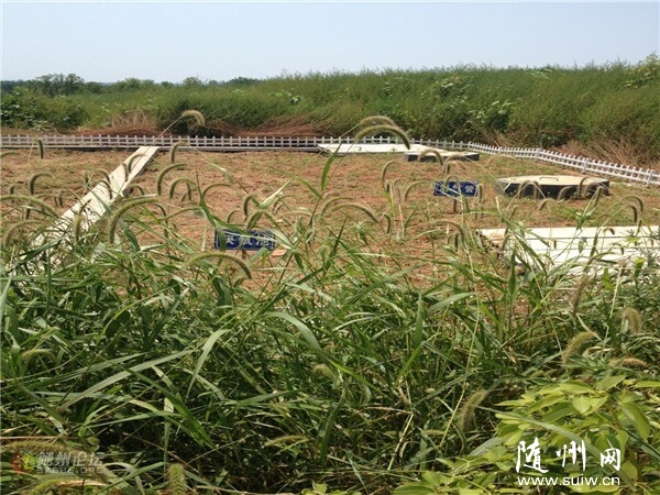 ��ý�wӛ���߻��ӡ����S�h�����M�P��կ��